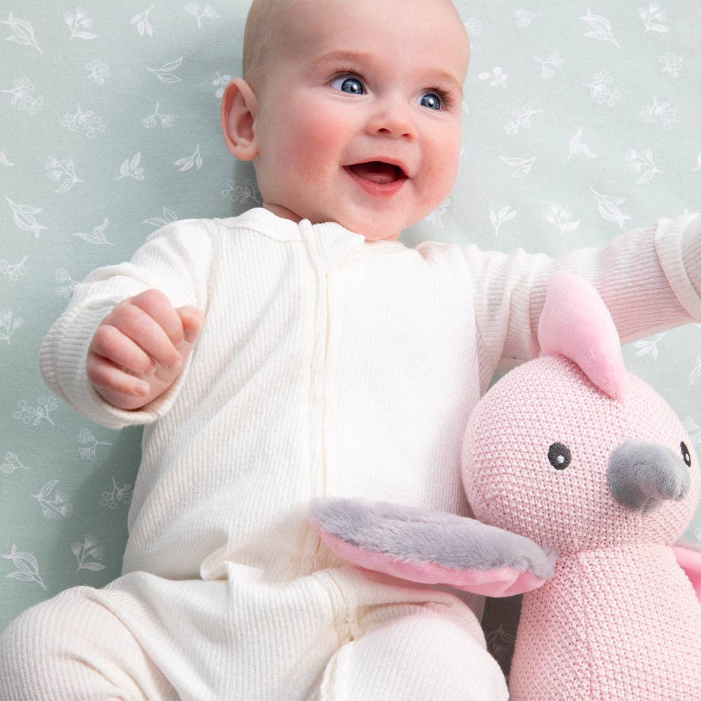 Living Textiles - Knitted Toy - Gary the Galah