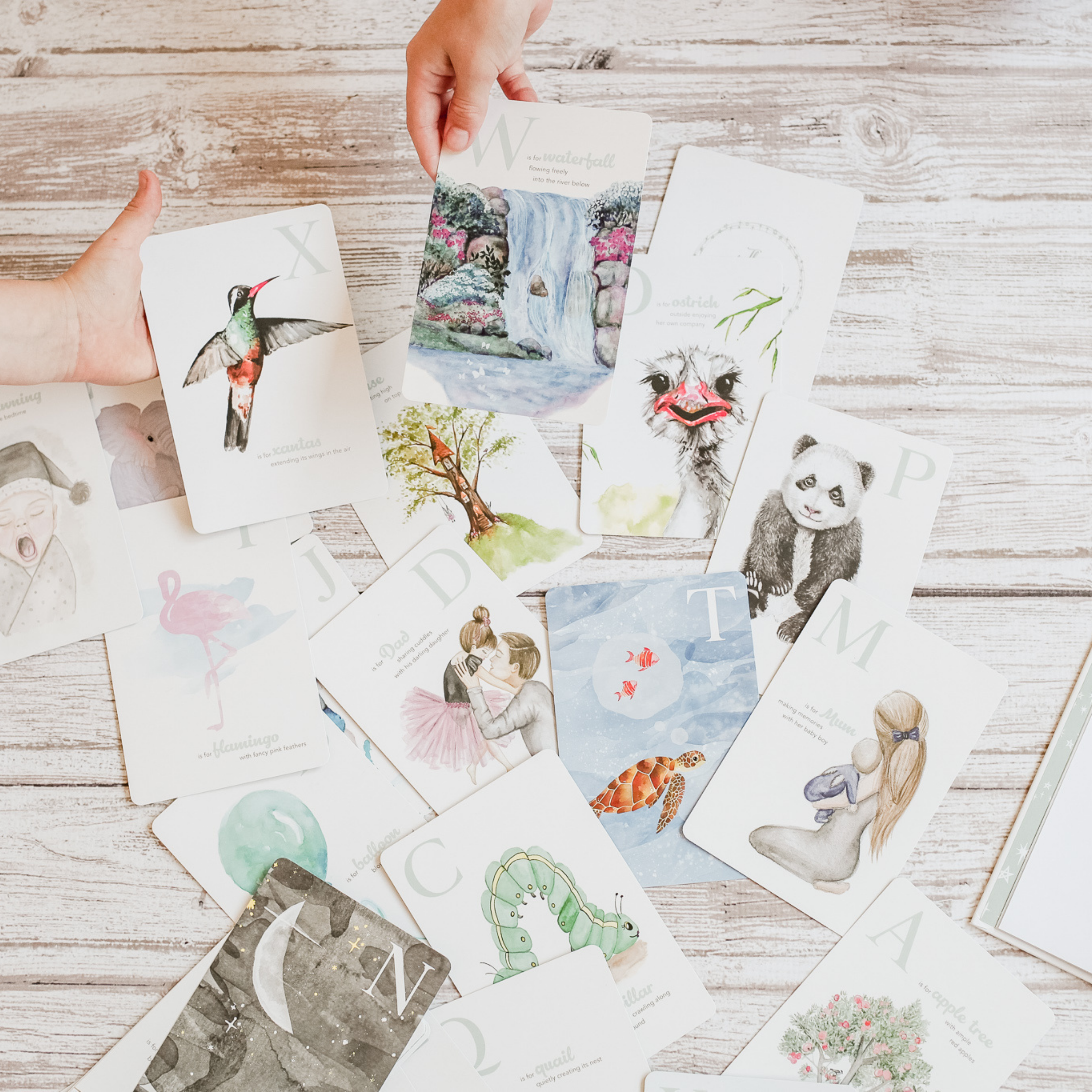 Adored Illustrations | The Amazing ABC Flash Cards