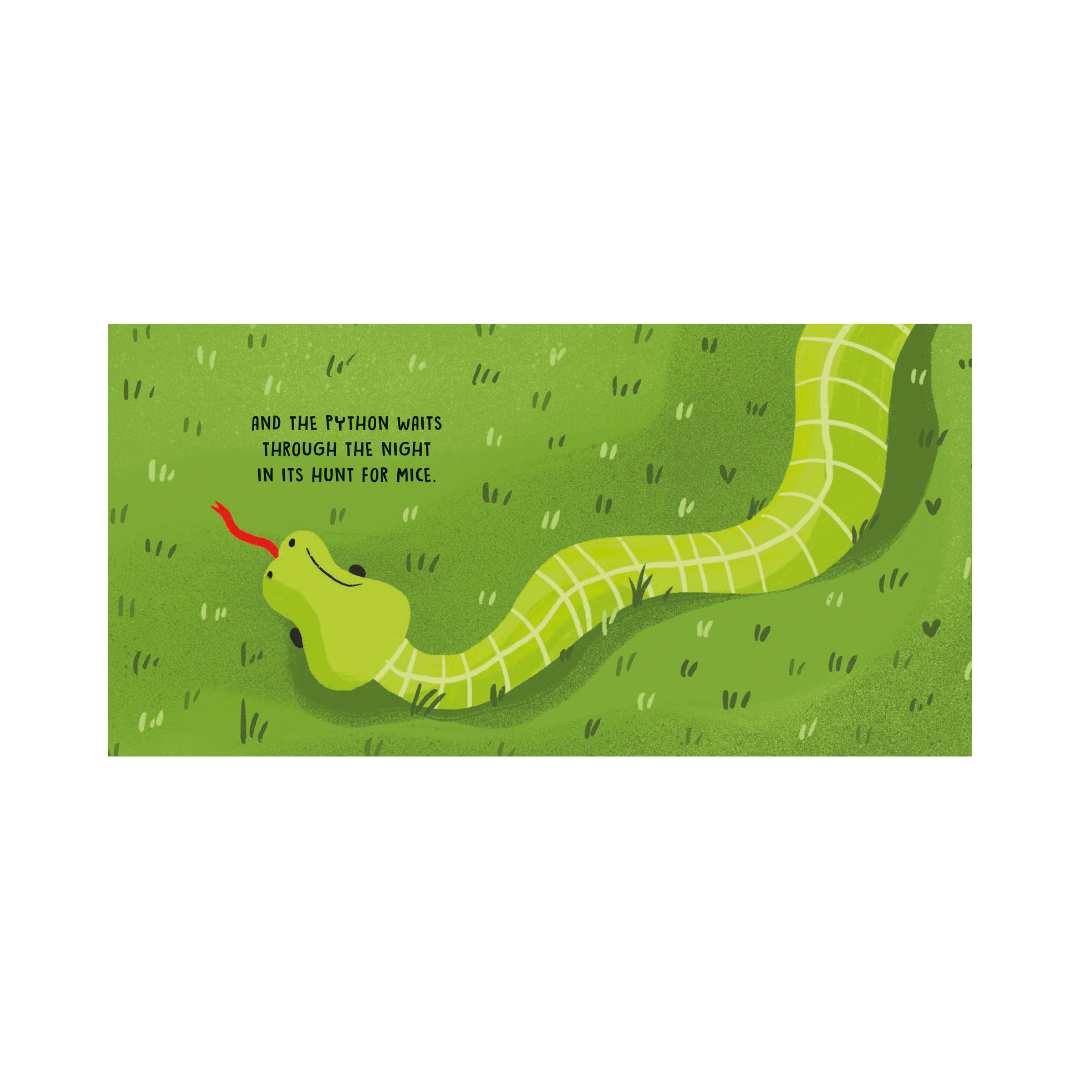 Sassi Board Book | Sweet Sounds Stories | The Jungle