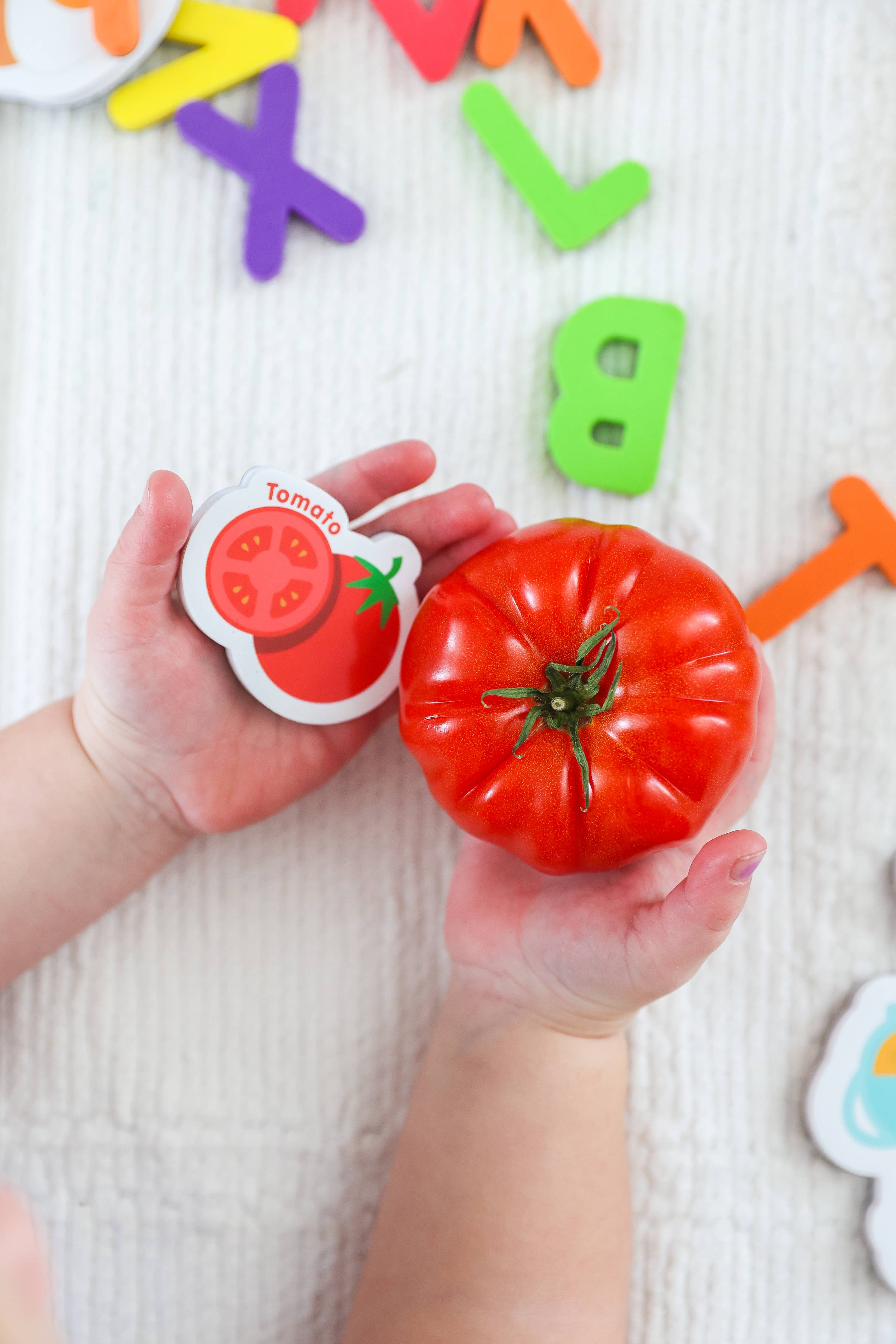 Curious Columbus | Magnetic Foods and Letters