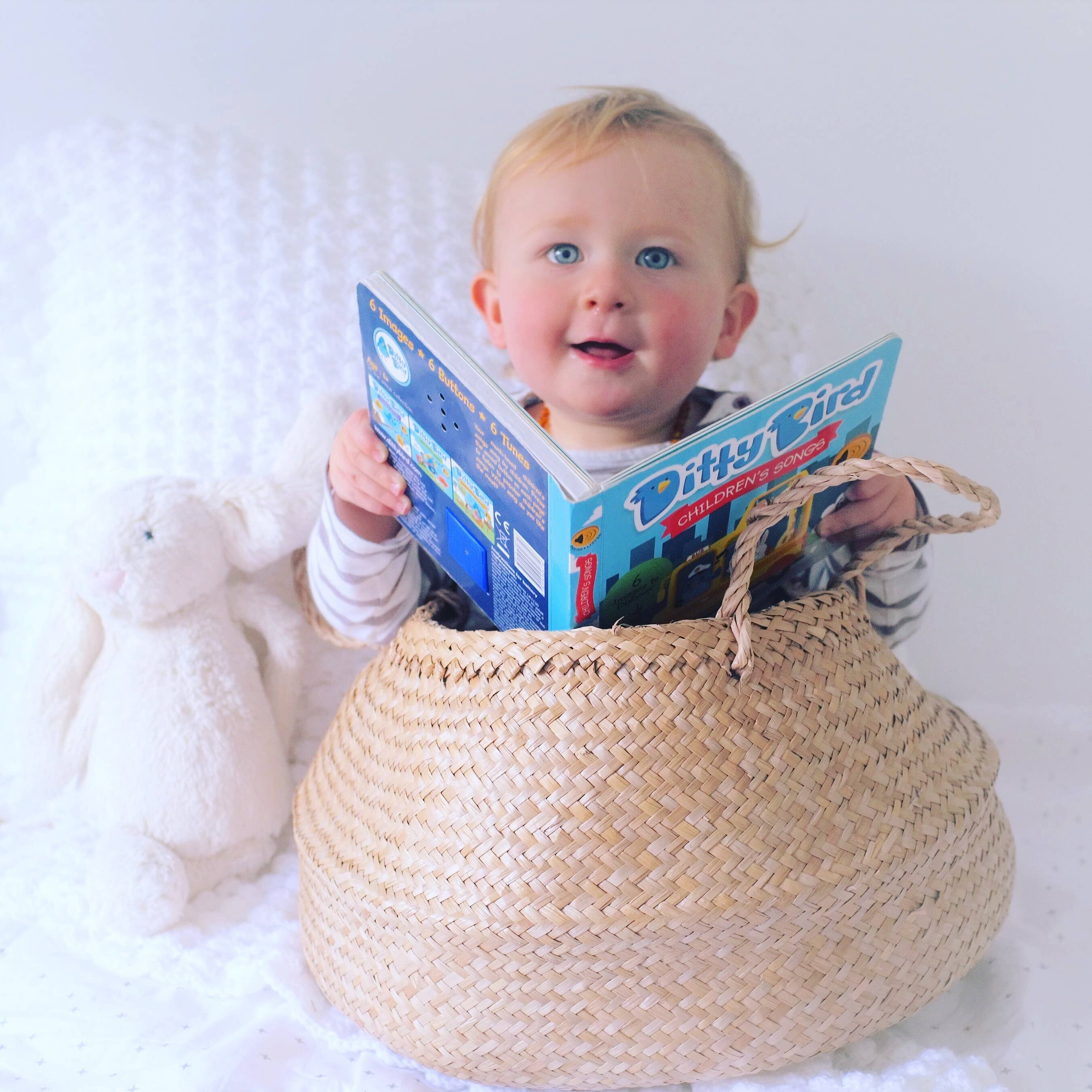 Ditty Bird | Sound Book |Children´s Songs