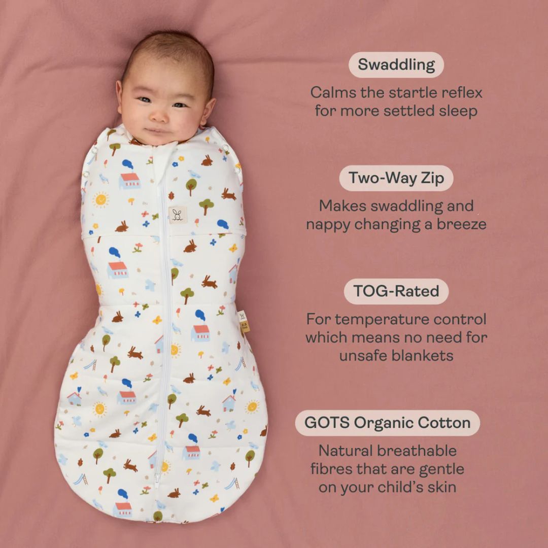 ergoPouch Cocoon Swaddle Bag 2.5TOG Daydream