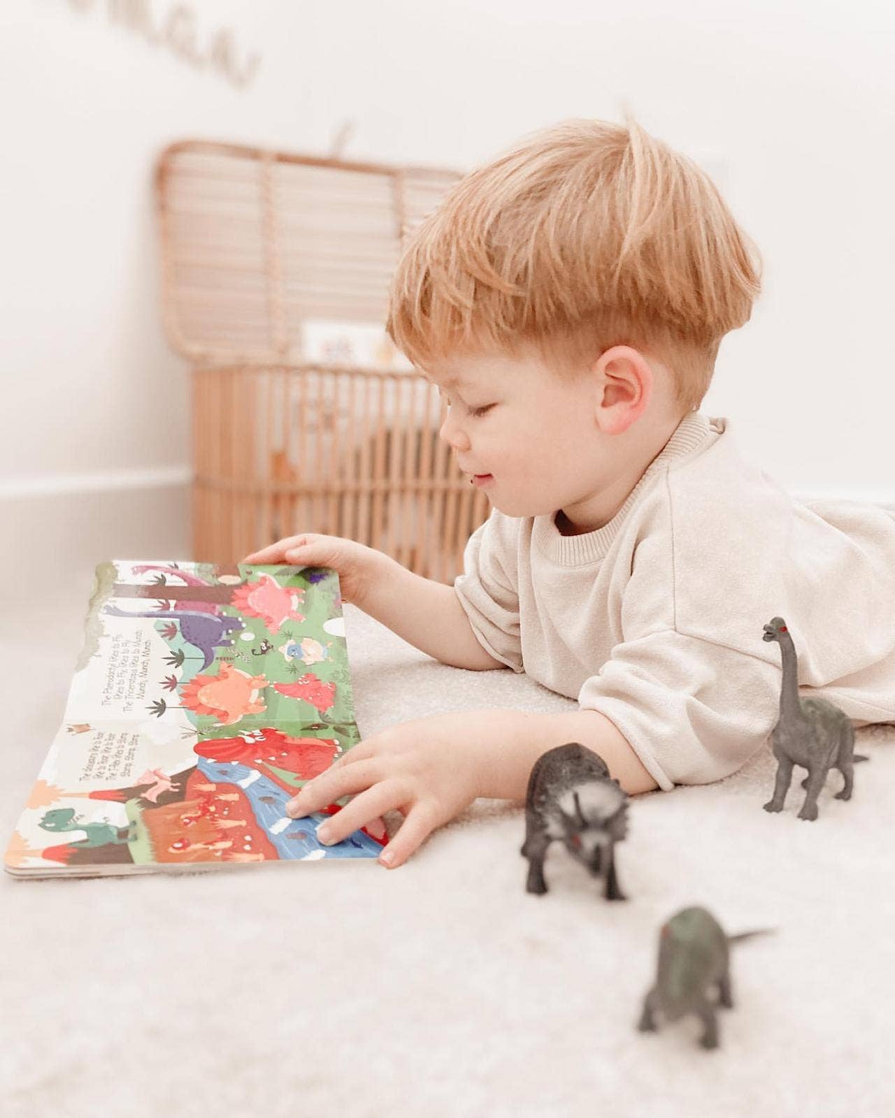 Ditty Bird | Baby Sound Book Dino Lovers | Dinosaur Sounds