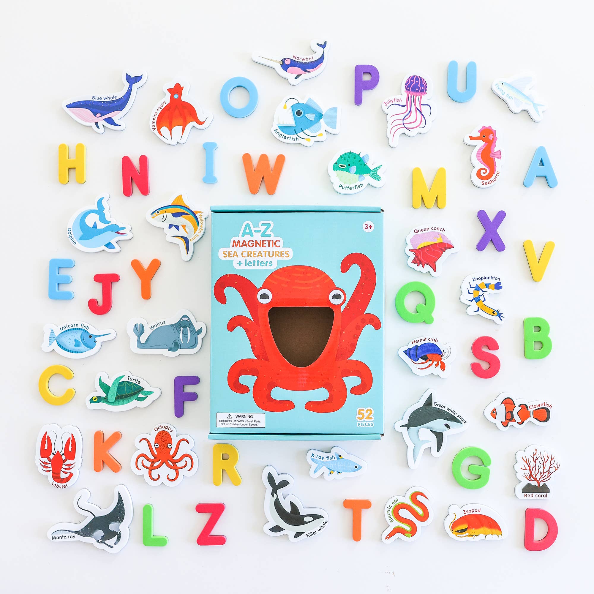 Curious Columbus | Magnetic Sea Creatures