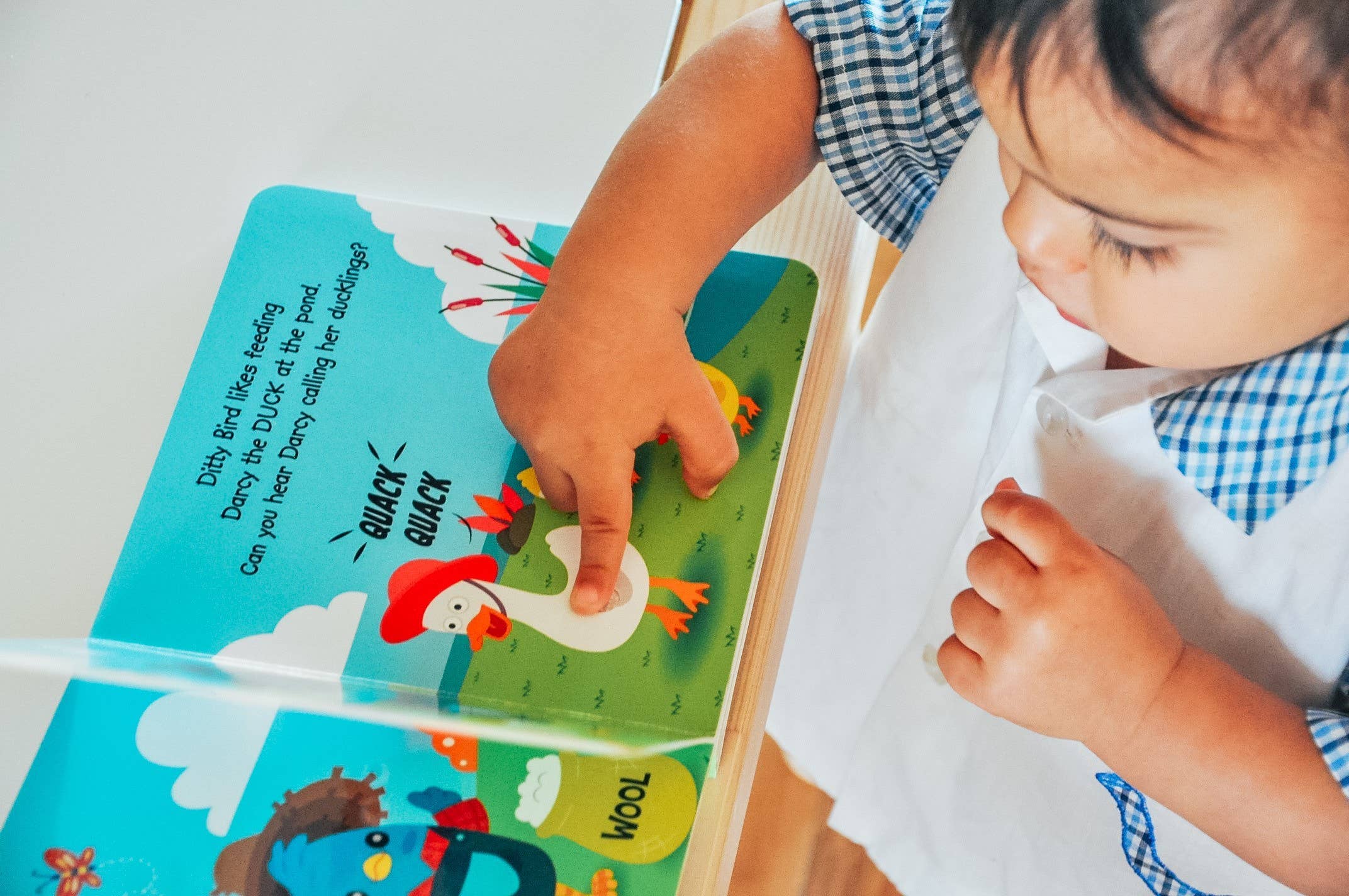 Ditty Bird | Farm Animal | Baby Sound Book Farm