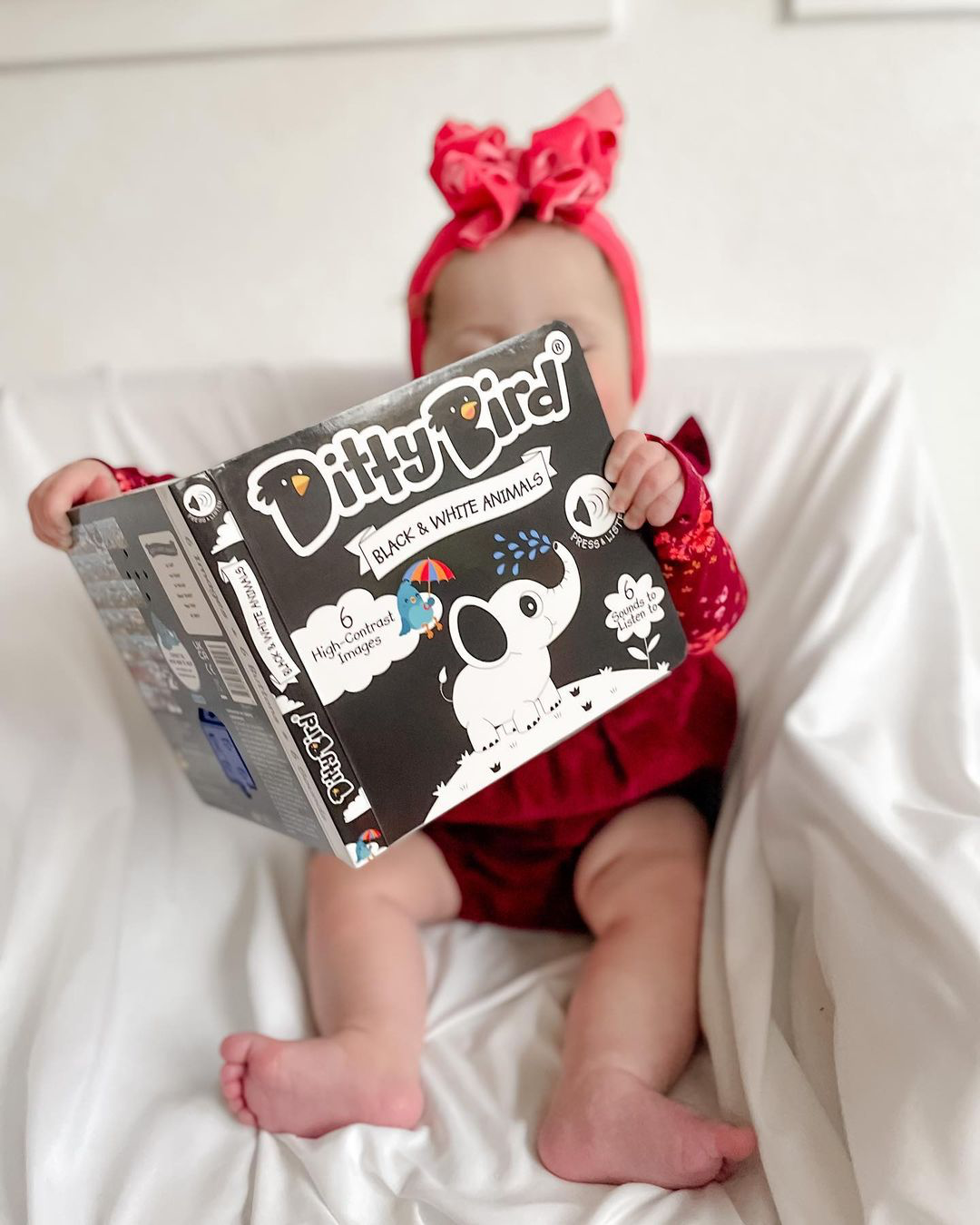 Ditty Bird | Black and White Sound Book