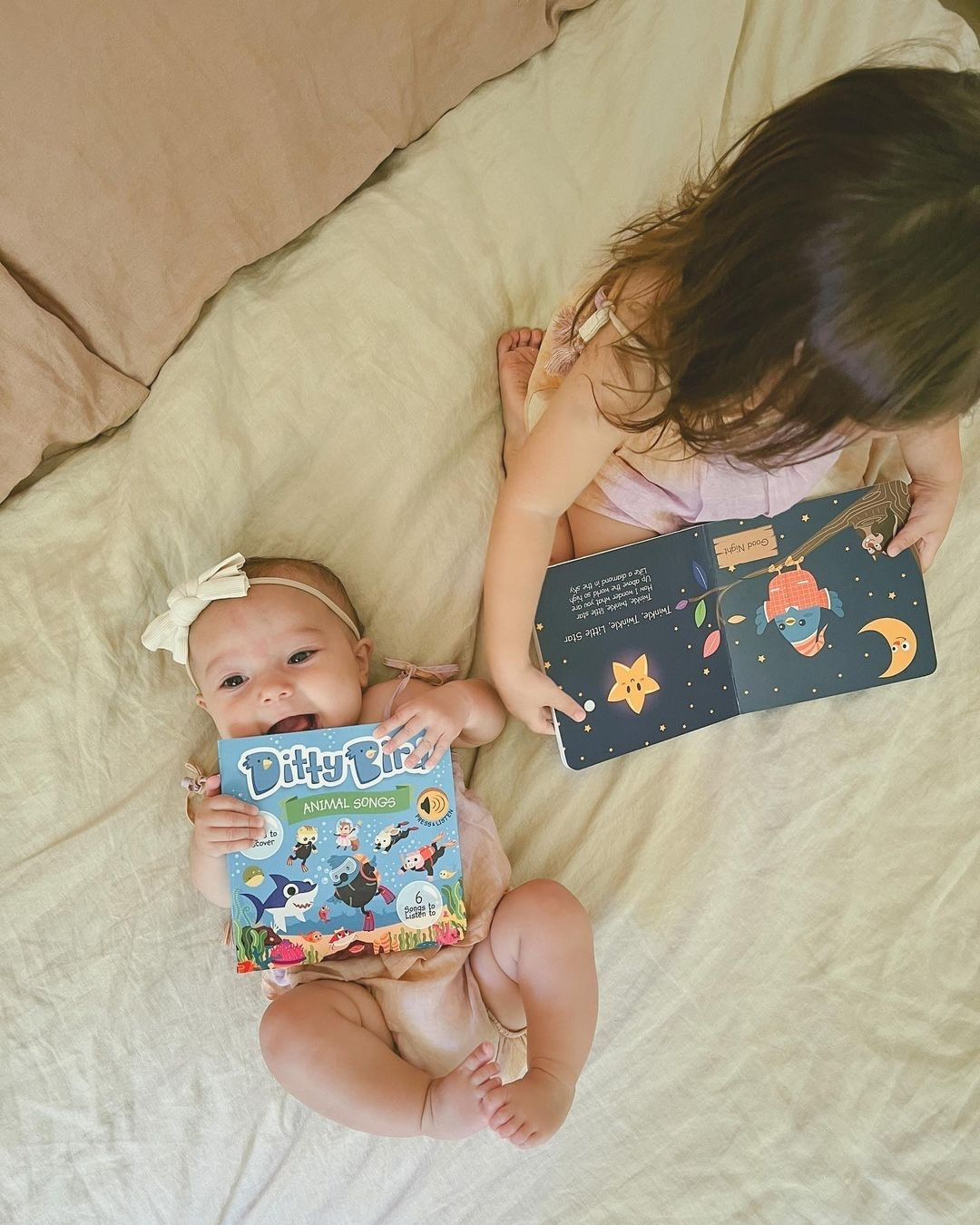 Ditty Bird | Animal songs incl.Baby Shark