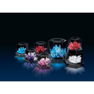 4M | Crystal Growing Kit (Large)