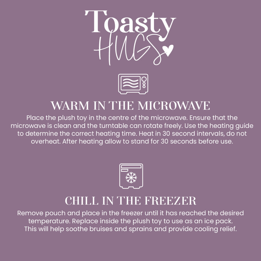 Splosh Toasty Hugs | Larry Lion