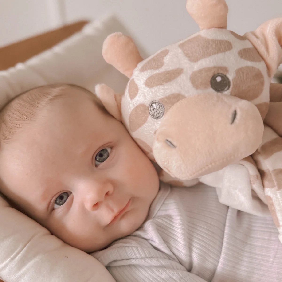 Love By Emi | Shay the Giraffe