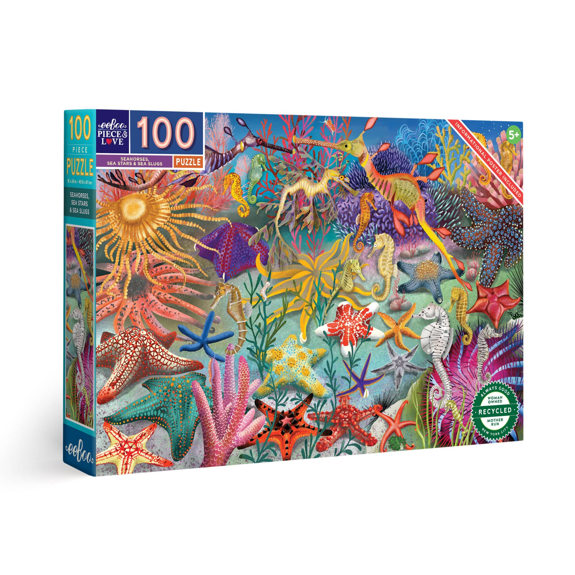 EeBoo Puzzle | Seahorses, Sea Stars, Sea Slugs 100 Pc
