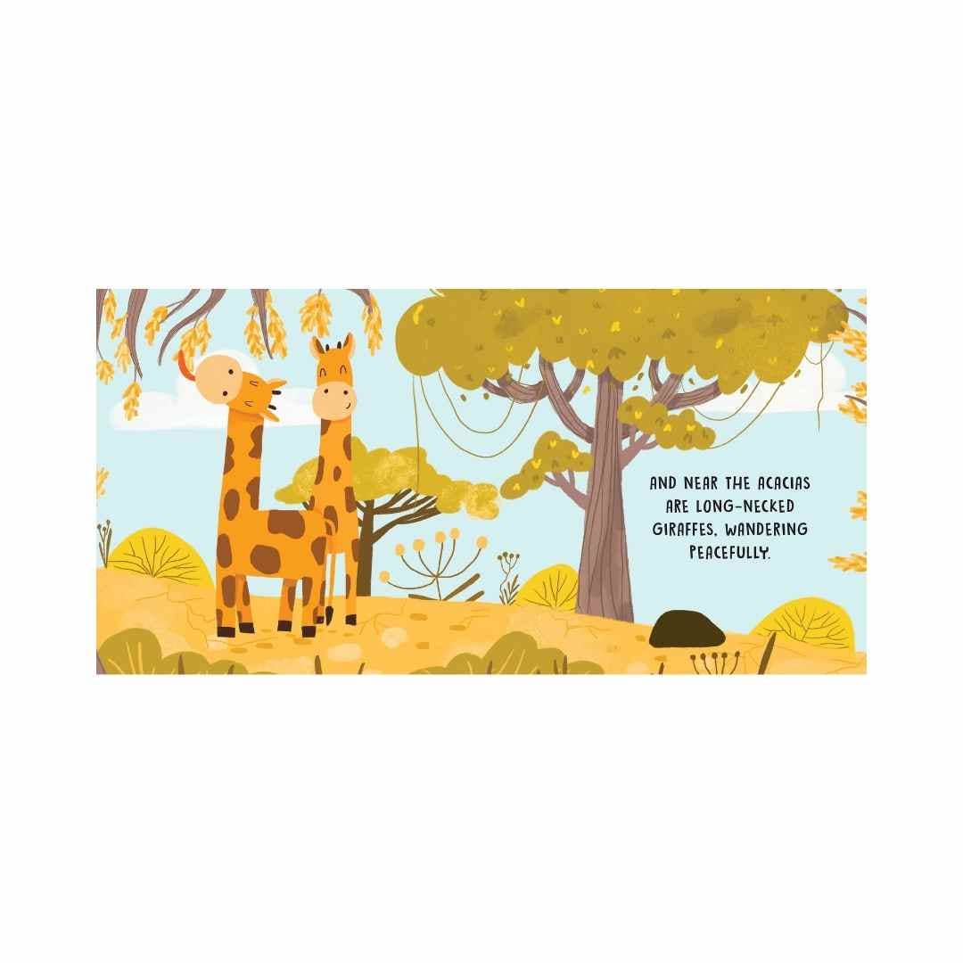 Sassi Board Book | Sweet Sounds Stories |  The Savannah