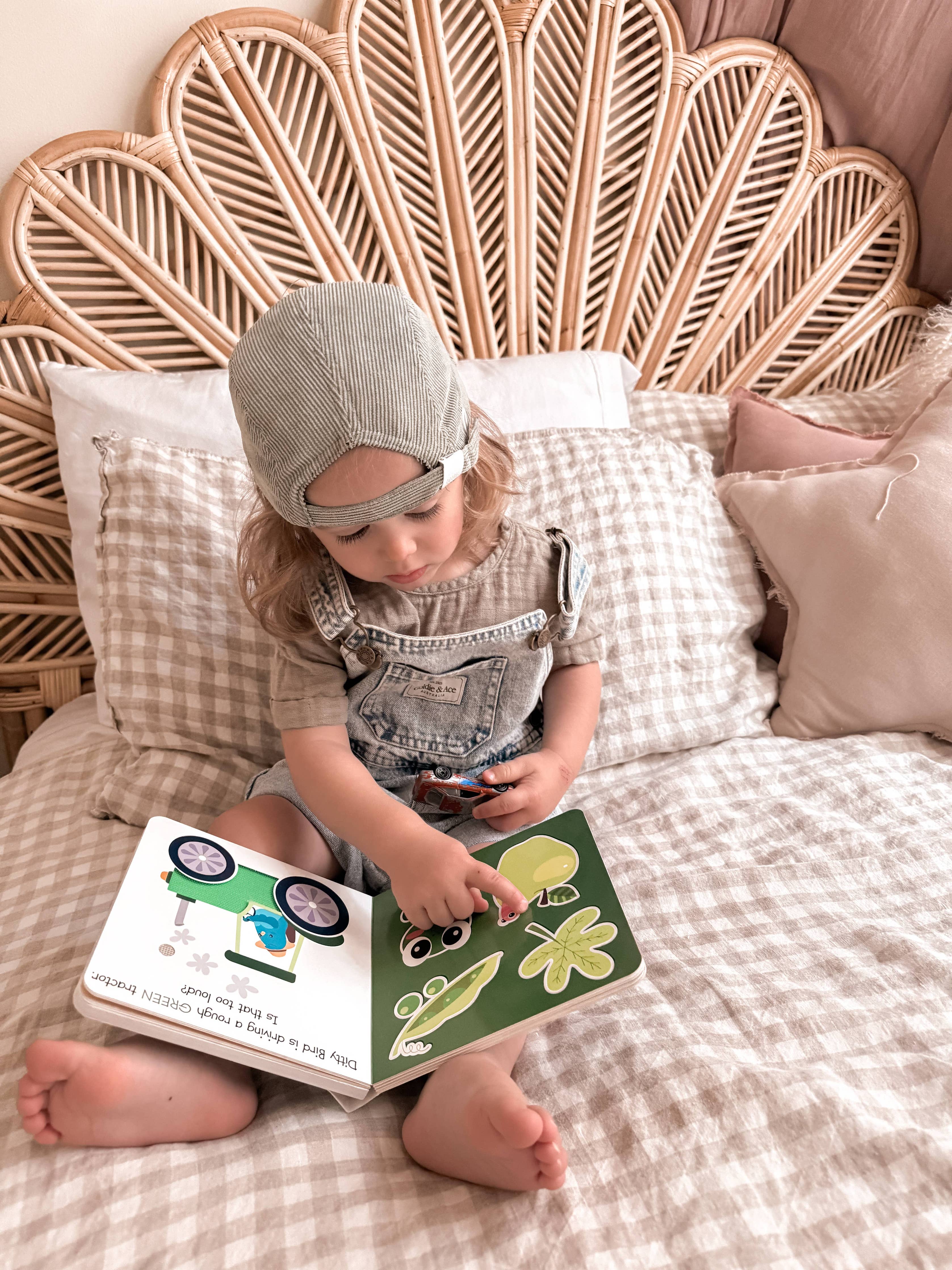 Ditty Bird | First Sensory Book | Montessori | Touch the colors
