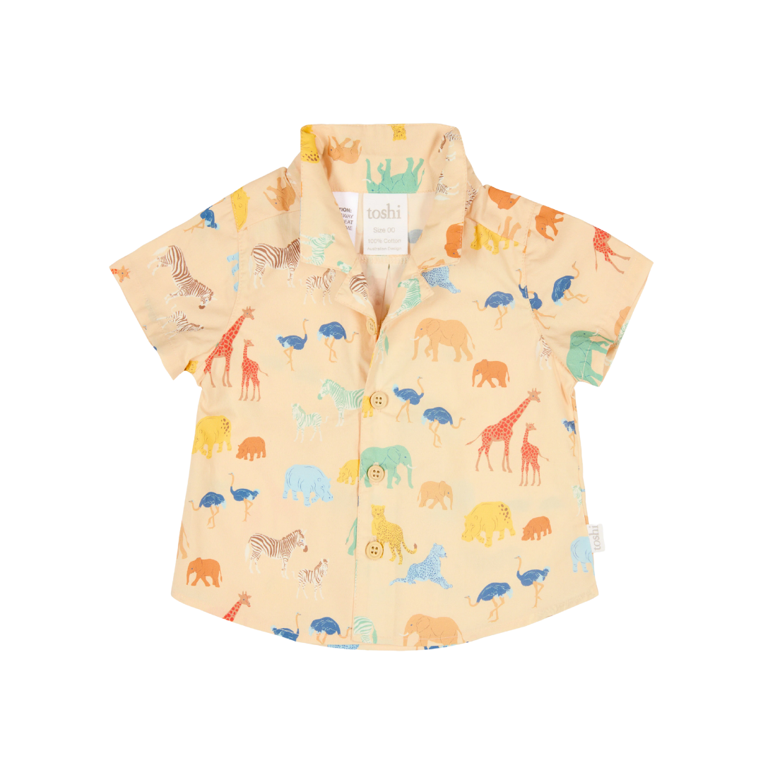 Toshi | Shirt Banjo | Congo Driftwood