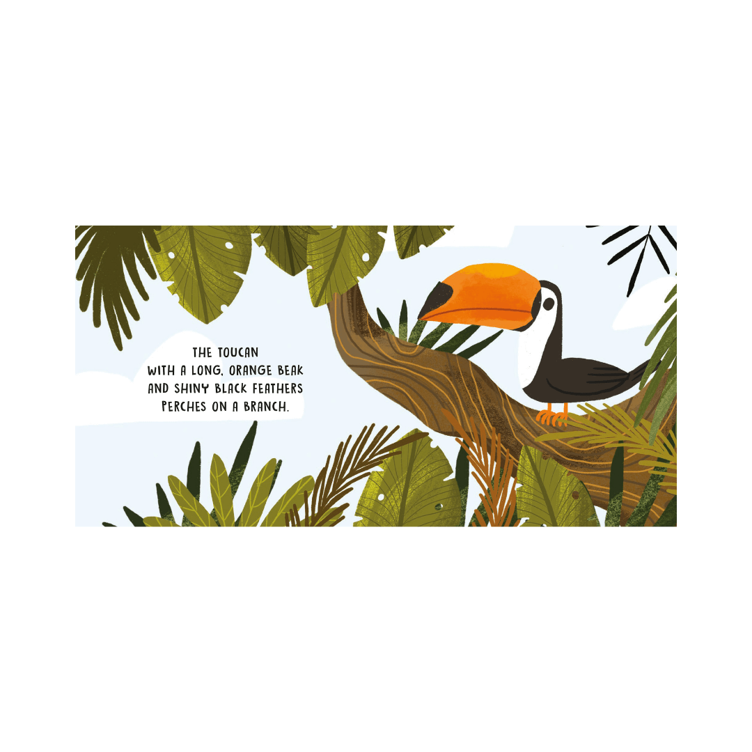 Sassi Board Book | Sweet Sounds Stories |  The Jungle