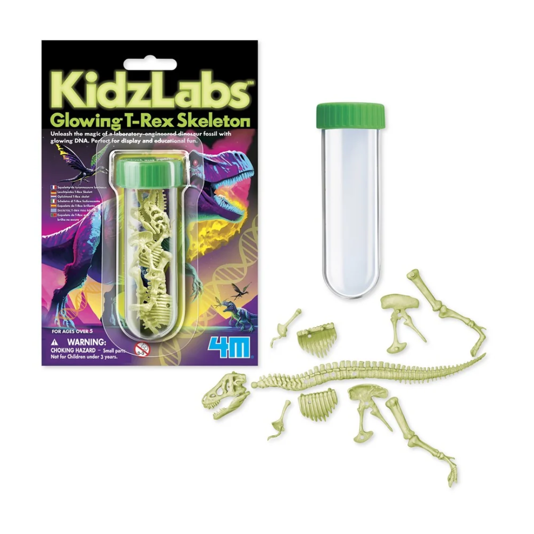 4M KidzLabs | Glowing T-Rex Skeleton