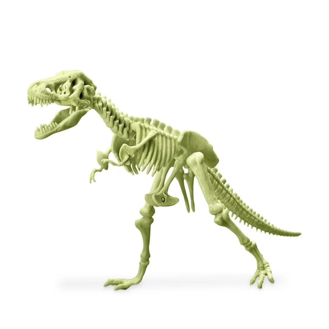 4M KidzLabs | Glowing T-Rex Skeleton