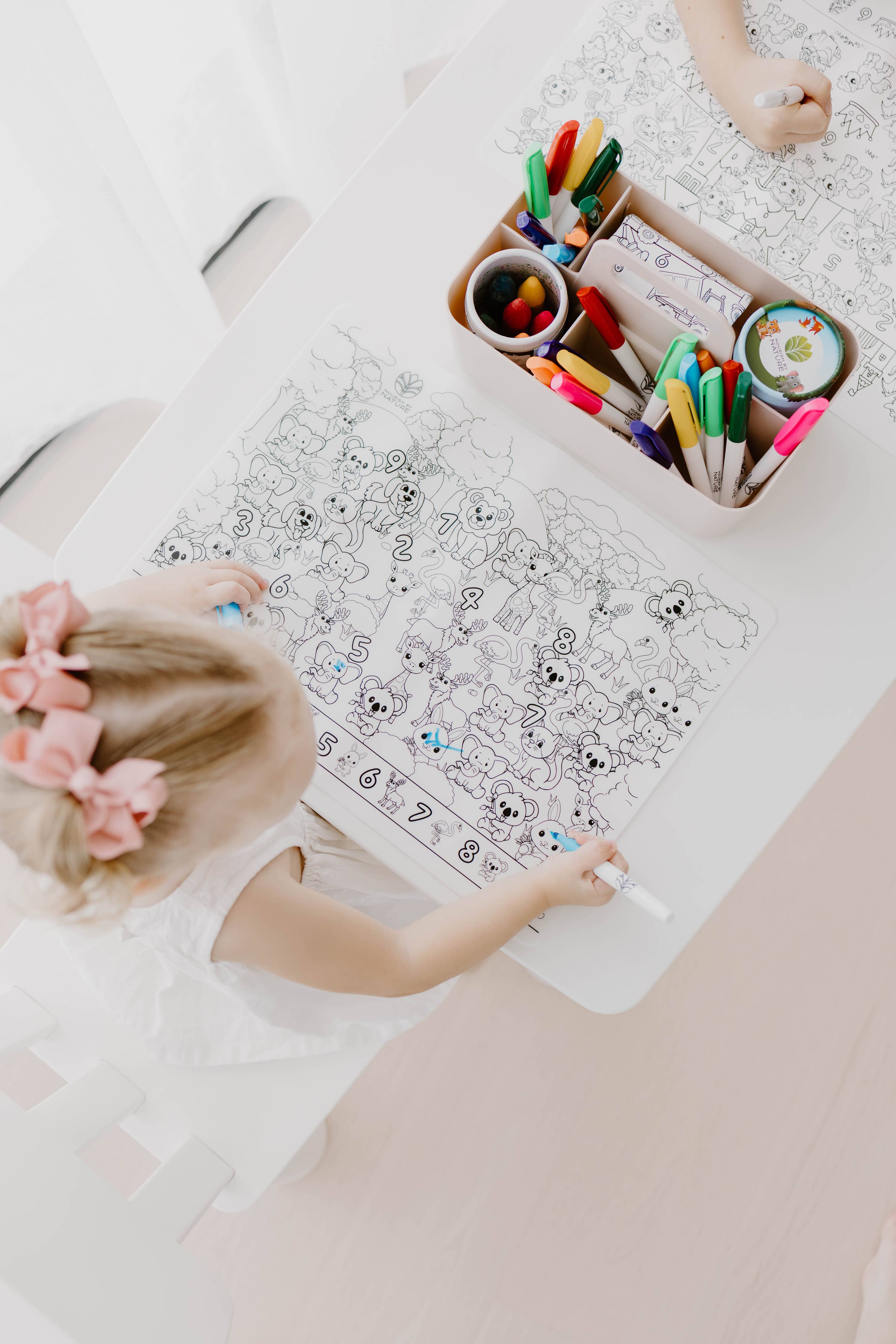 Nourish By Nature - Reusable Colouring Mat | Princess Seek & Spot A3 Silicone