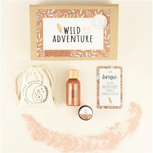 MINI Wild Adventure Potion Kit ( A Potion to Calm)