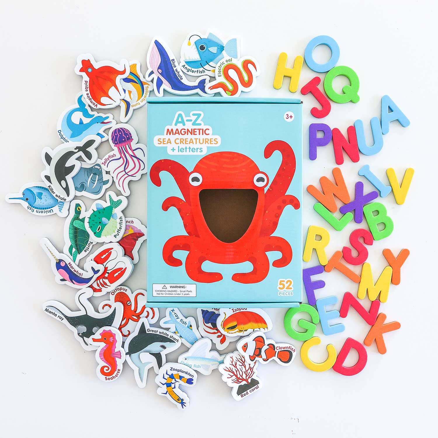 Curious Columbus | Magnetic Sea Creatures