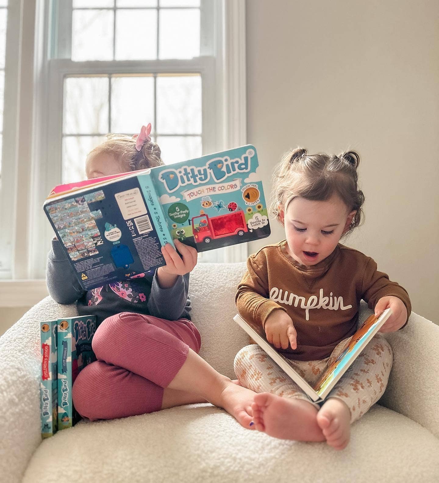 Ditty Bird | First Sensory Book | Montessori | Touch the colors