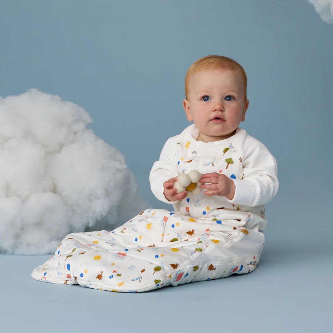 ErgoPouch | Sleep Suit Bag 2.5TOG Daydream