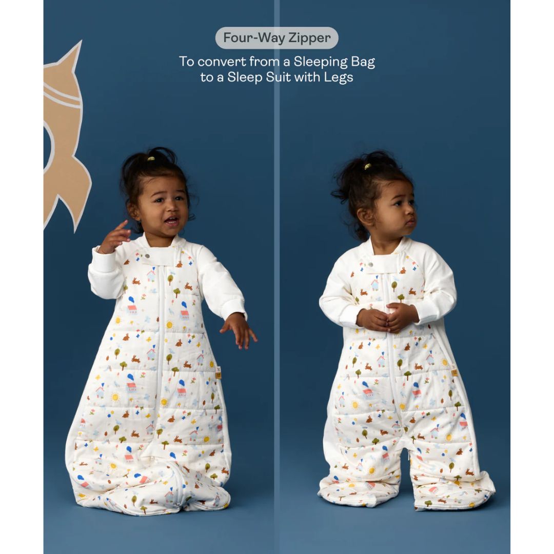 ErgoPouch | Sleep Suit Bag 2.5TOG Daydream