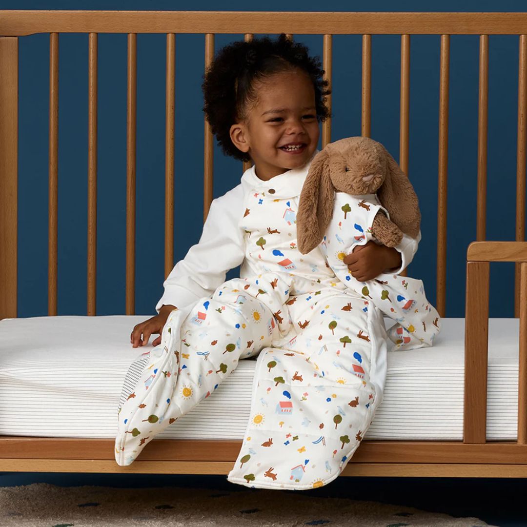 ErgoPouch | Sleep Suit Bag 2.5TOG Daydream