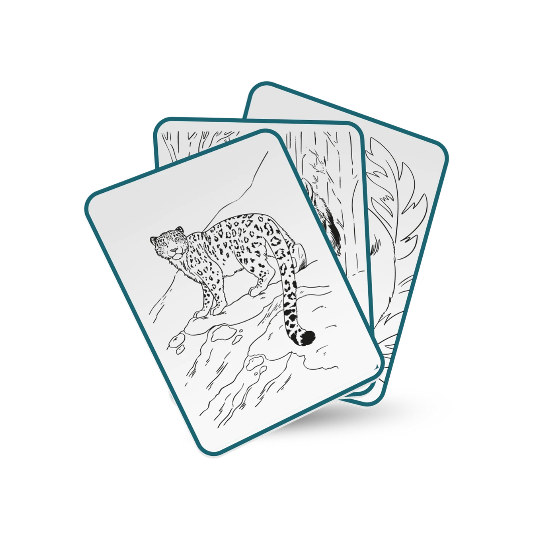 Kidywolf | KidyDraw PAD Animals