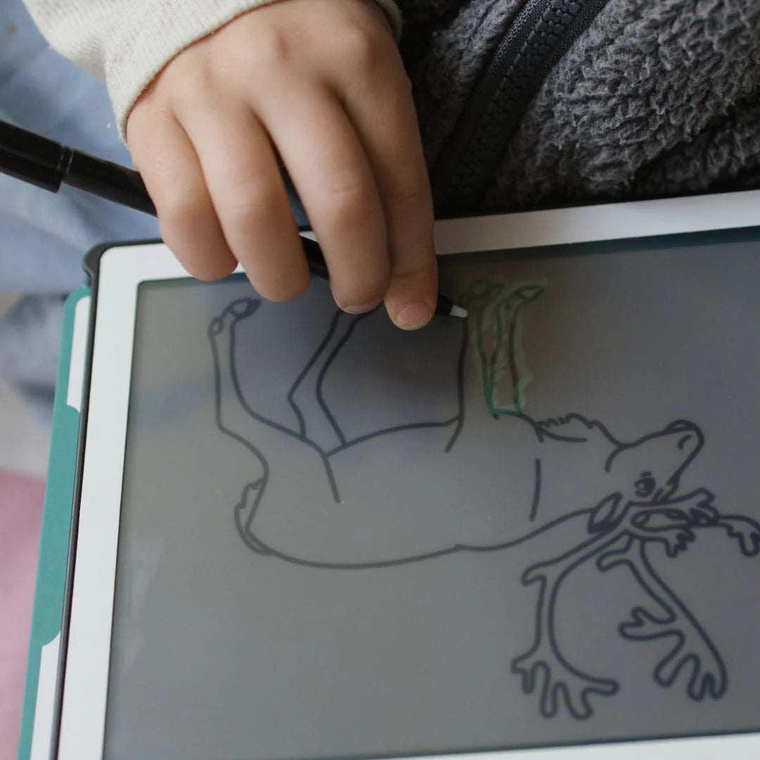 Kidywolf | Kidydraw Mini | Animals Around the World