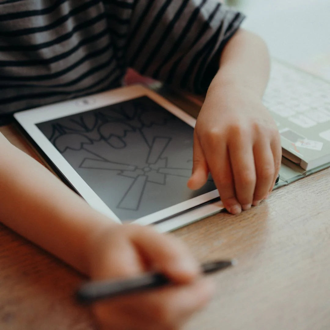 Kidywolf | Kidydraw Mini | Animals Around the World