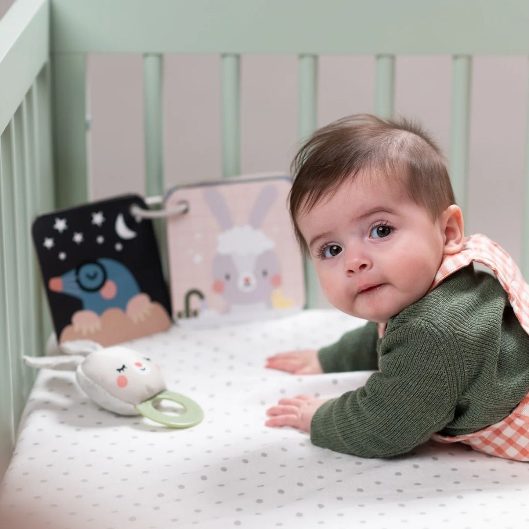 Playette | Taf Toys Bedtime Kit