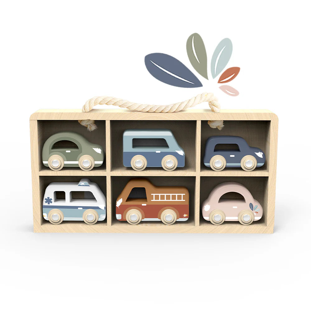 Speedy Monkey | Car Display Case