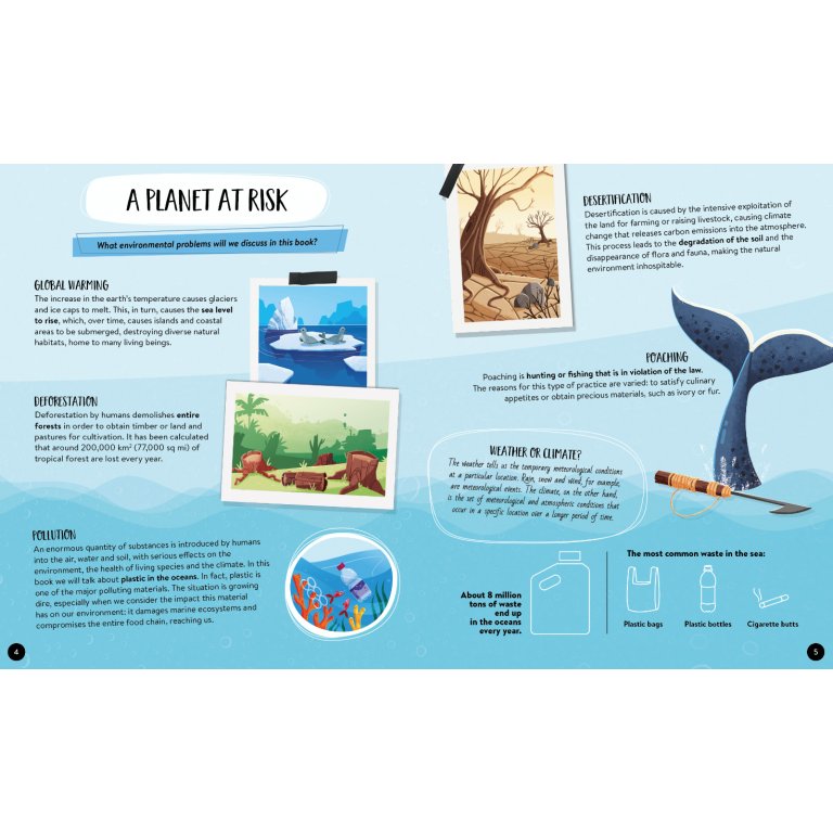 Sassi Books | What How and Why Earth Book and Poster