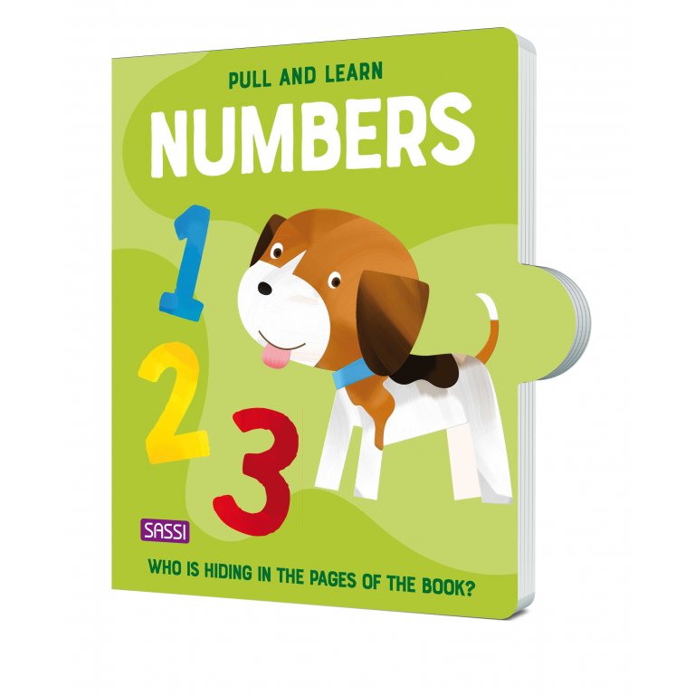 Sassi Pull and Play Book | Numbers