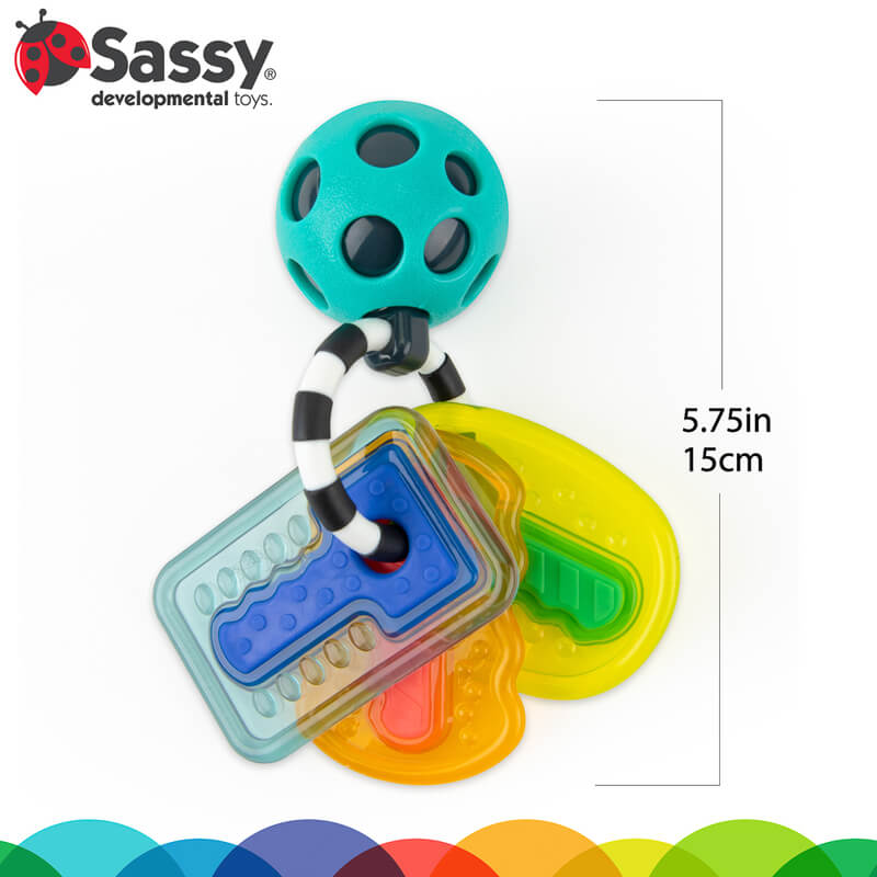 Sassy | Drive n Drool Keys
