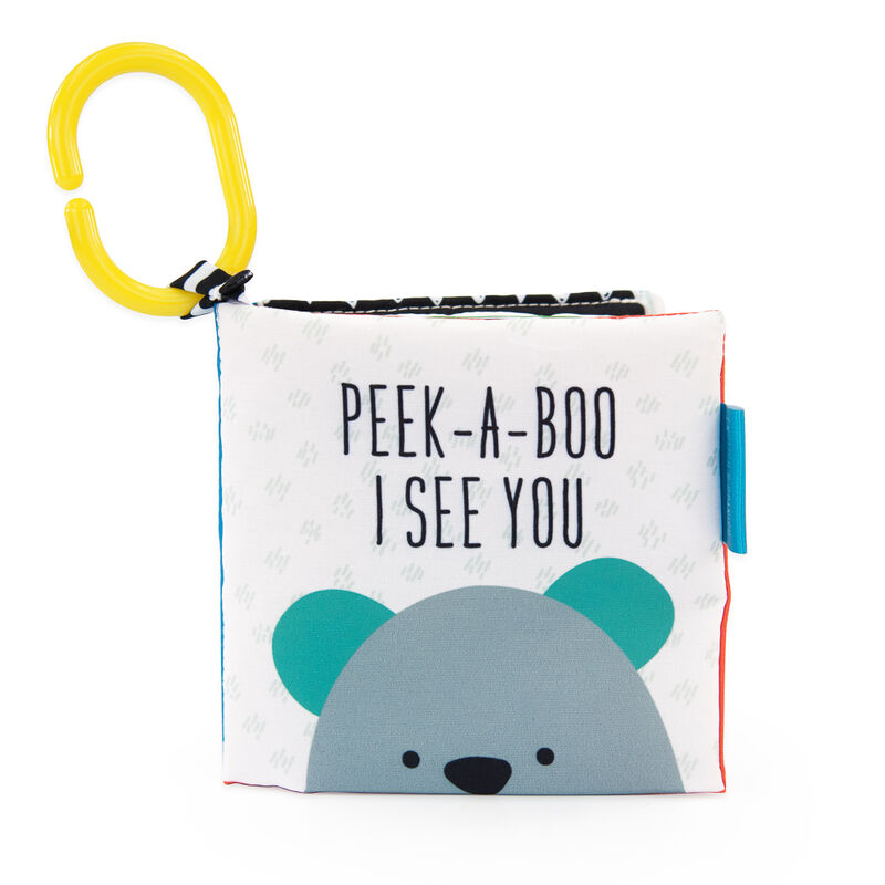 Sassy | Peek-A-Boo Book