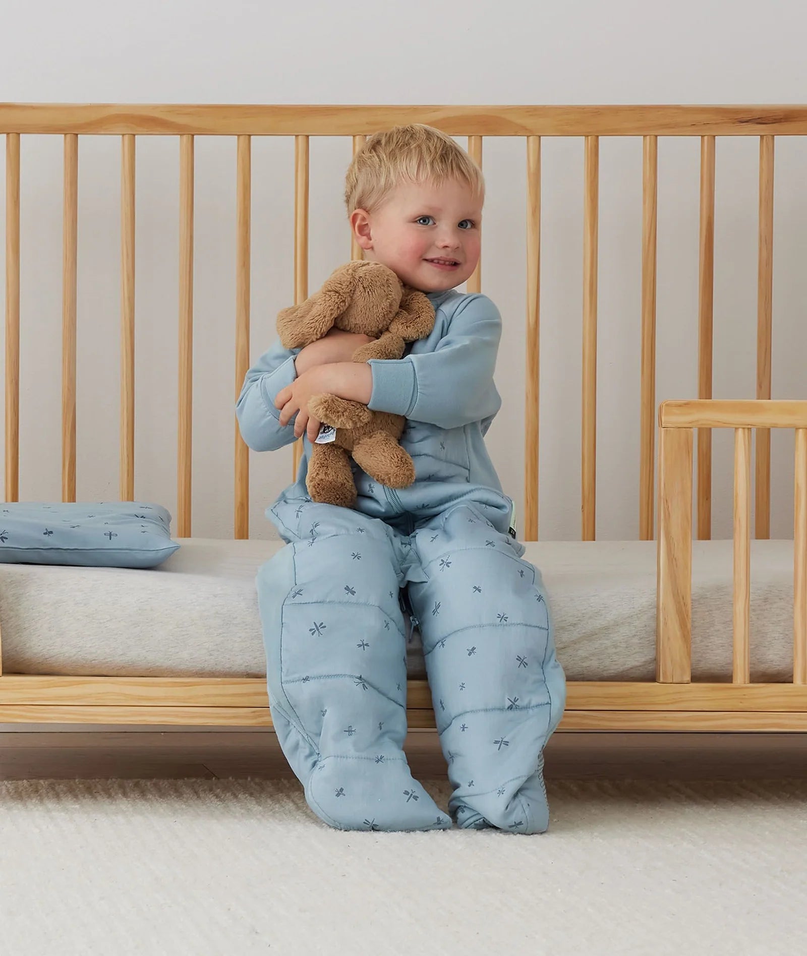 ErgoPouch Sleep Suit Bag 2.5TOG Dragonflies
