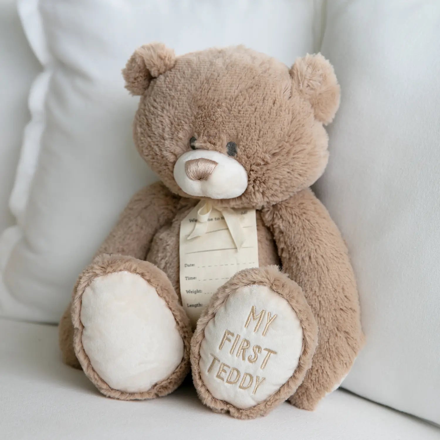 Splosh | Demdaco | My First Teddy Tan 40cm