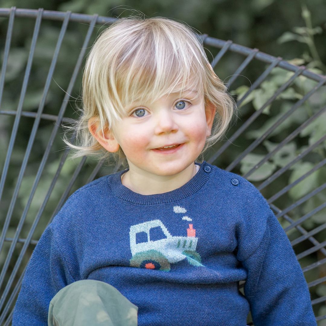 Toshi | Organic Pullover Mystical | Tiny Tractors