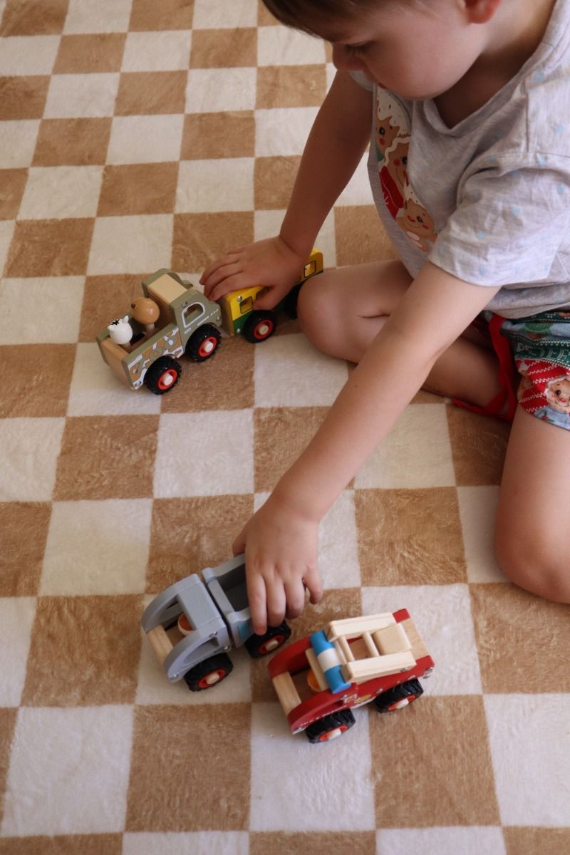 Toyslink Wooden Wheelie Vehicle Dump Truck