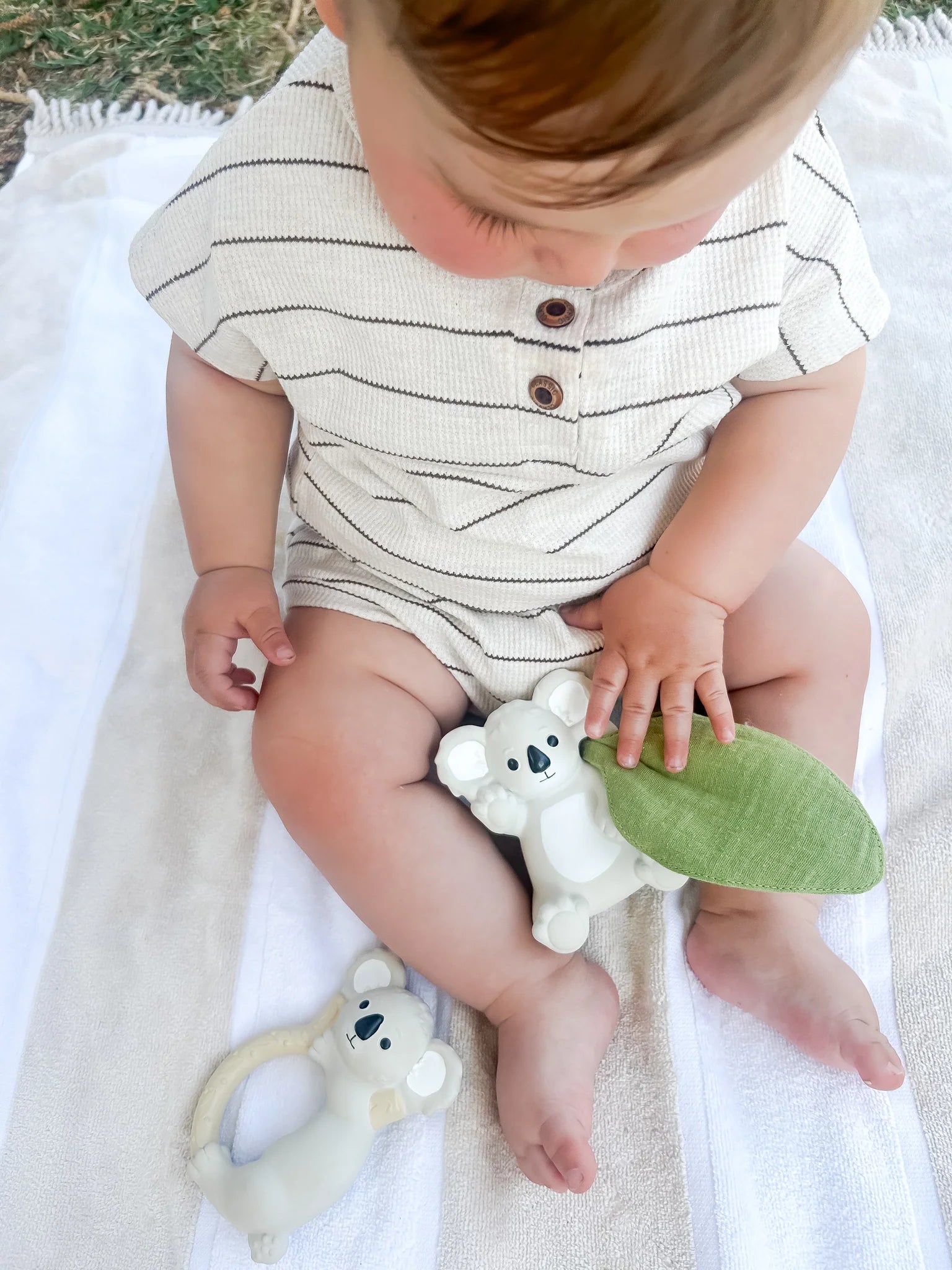 Winnie Parkes | Banks the Koala | Rattle & Scrunch