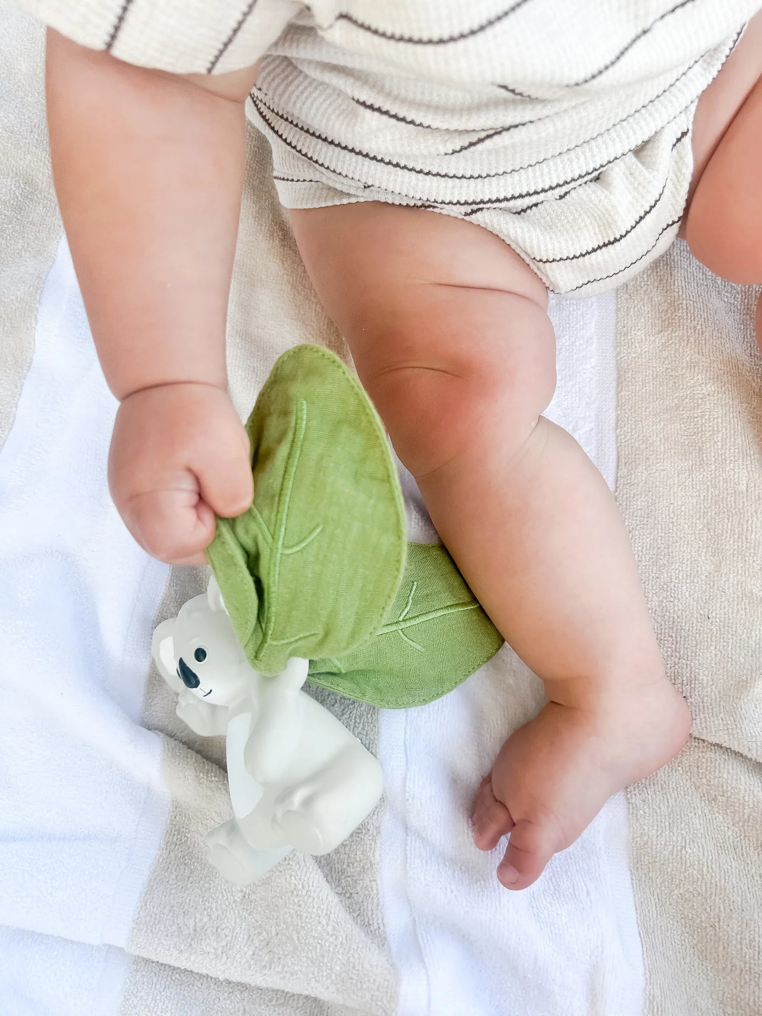 Winnie Parkes | Banks the Koala | Rattle & Scrunch