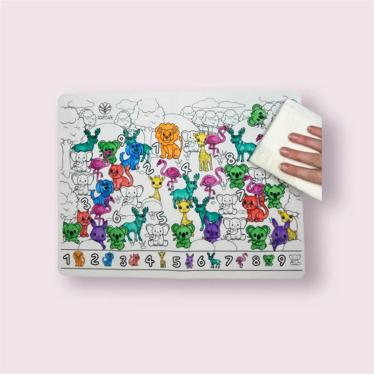 Nourish By Nature - Reusable Colouring Mat | Princess Seek & Spot A3 Silicone