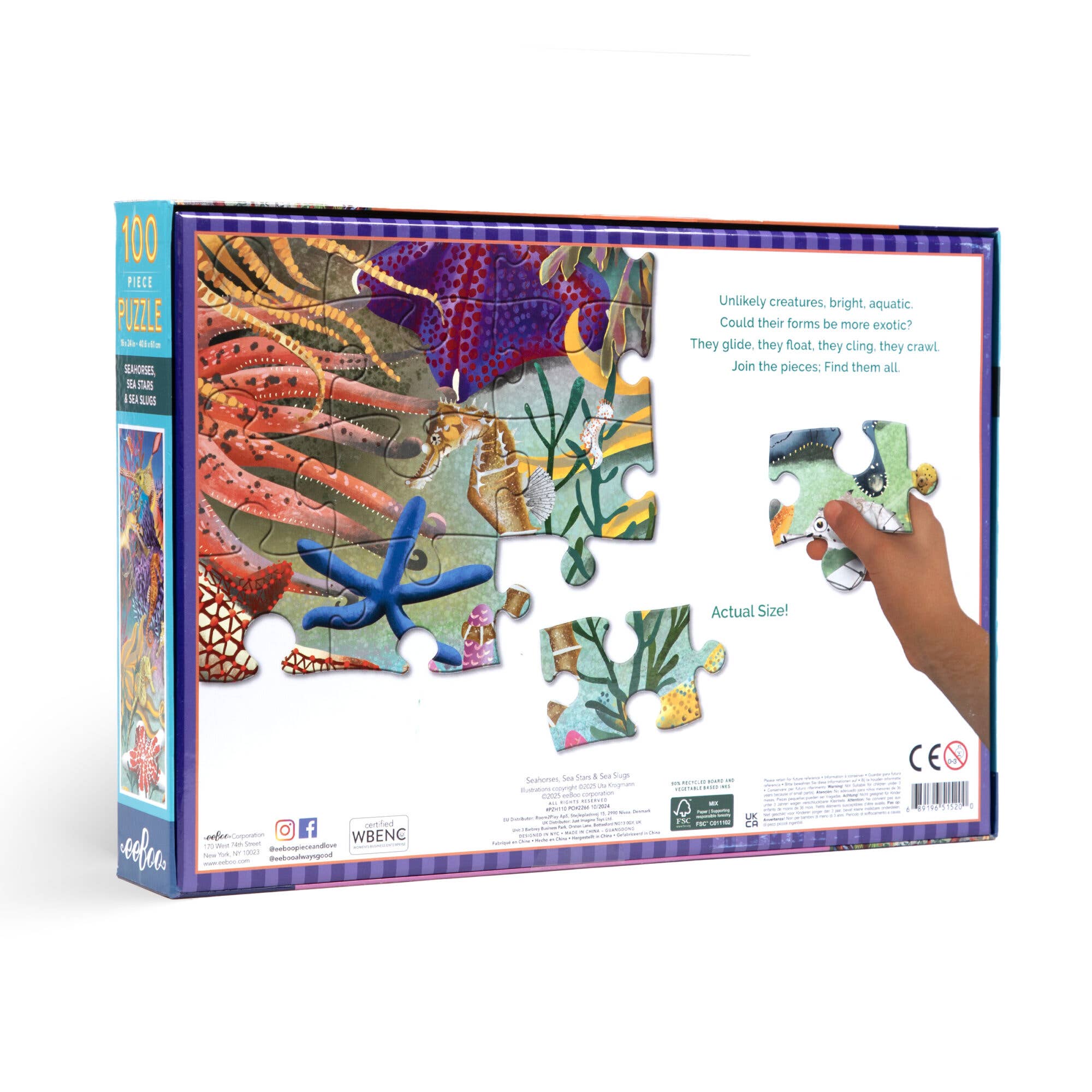 EeBoo Puzzle | Seahorses, Sea Stars, Sea Slugs 100 Pc