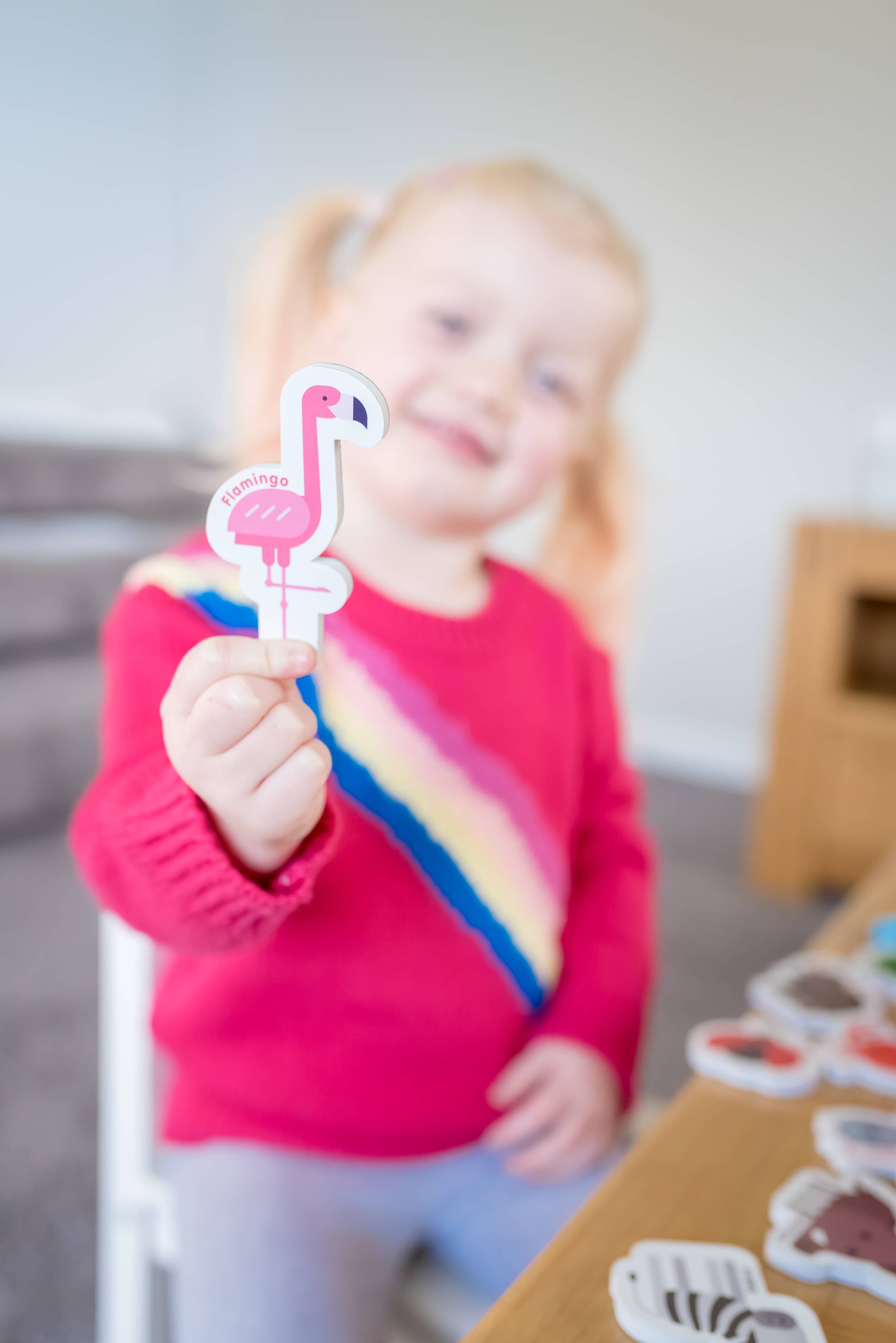 Magnetic Animals & Letters