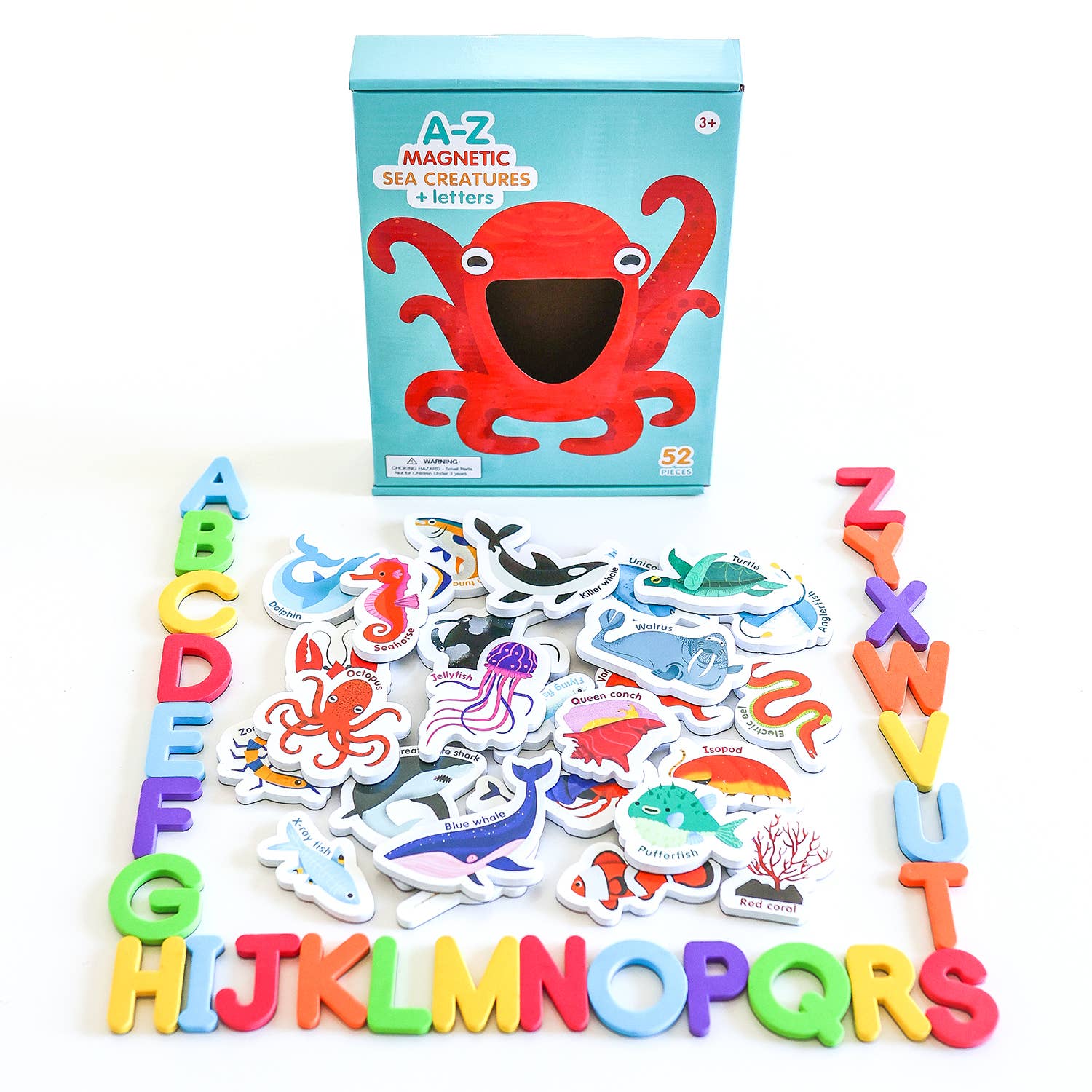 Curious Columbus | Magnetic Sea Creatures