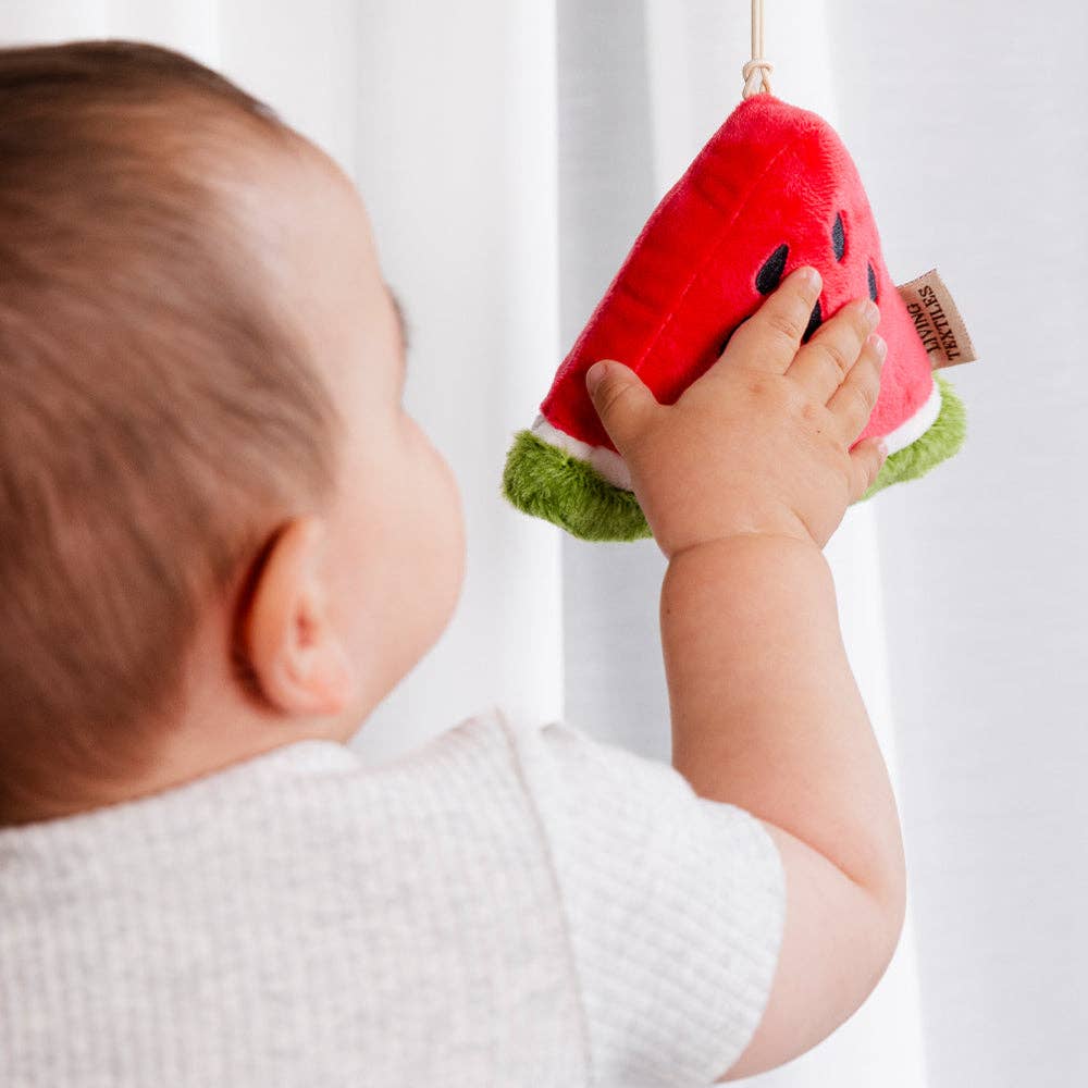 Living Textiles | 2 Pack Mini Market Brunch Stroller Toys Watermelon & Blueberry