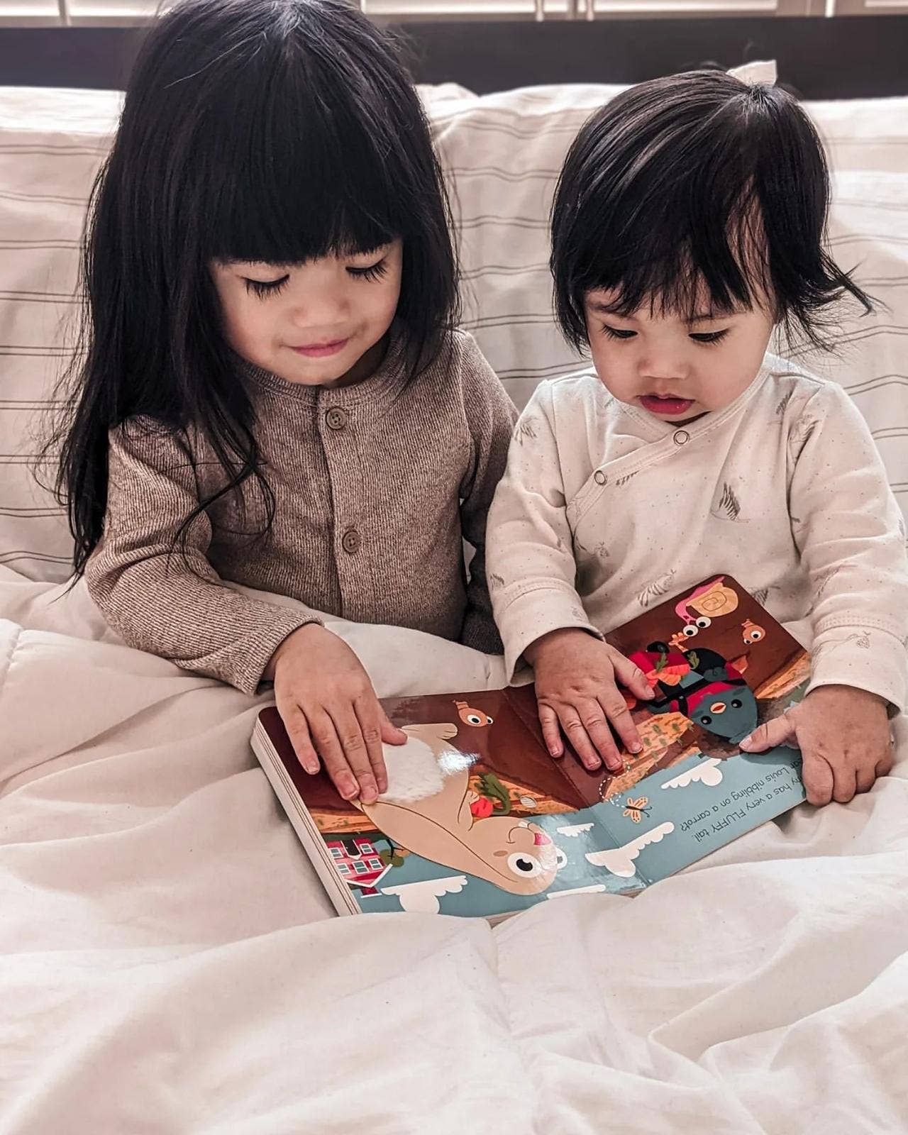 Ditty Bird | First Sensory Book Montessori Method Cute Animals