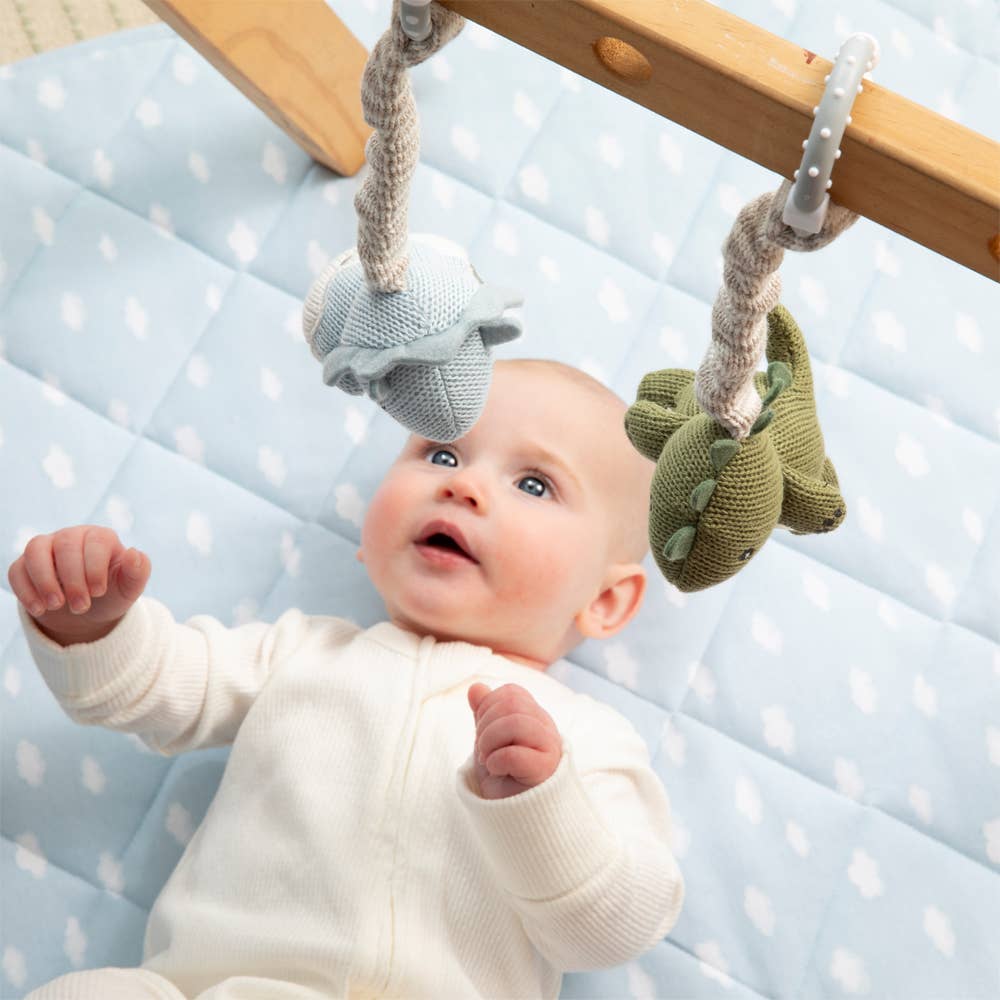 Living Textiles - 2pk Stroller Toy - Dinosaurs